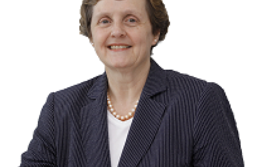MEP Anthea McIntyre
